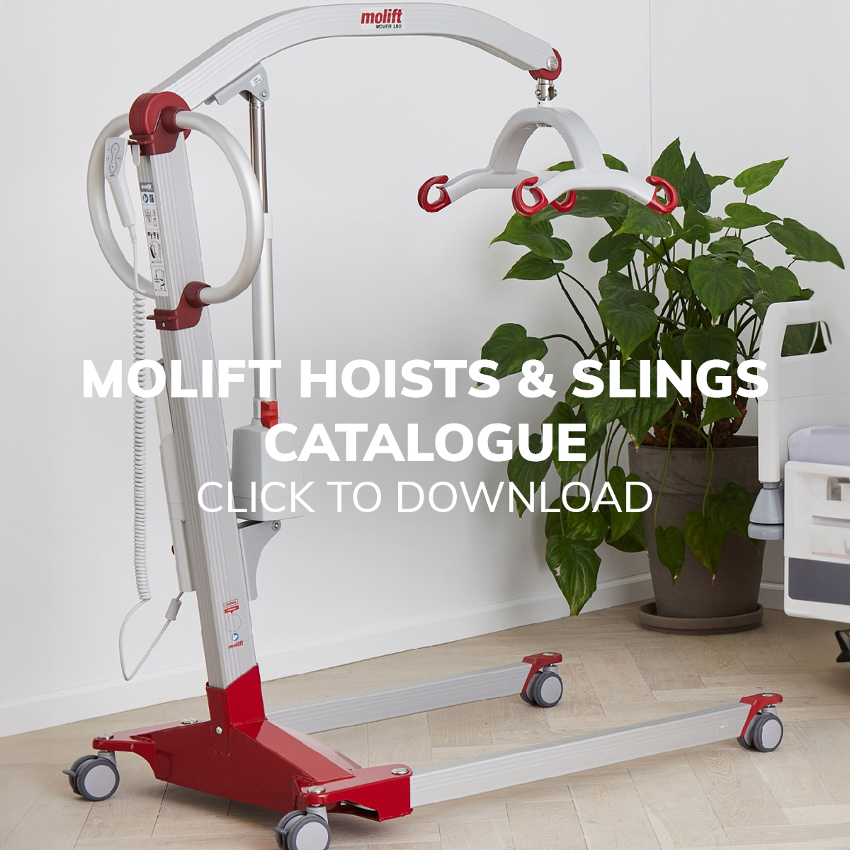 Versatile Lifting Solutions: Molift Duo Gantry System